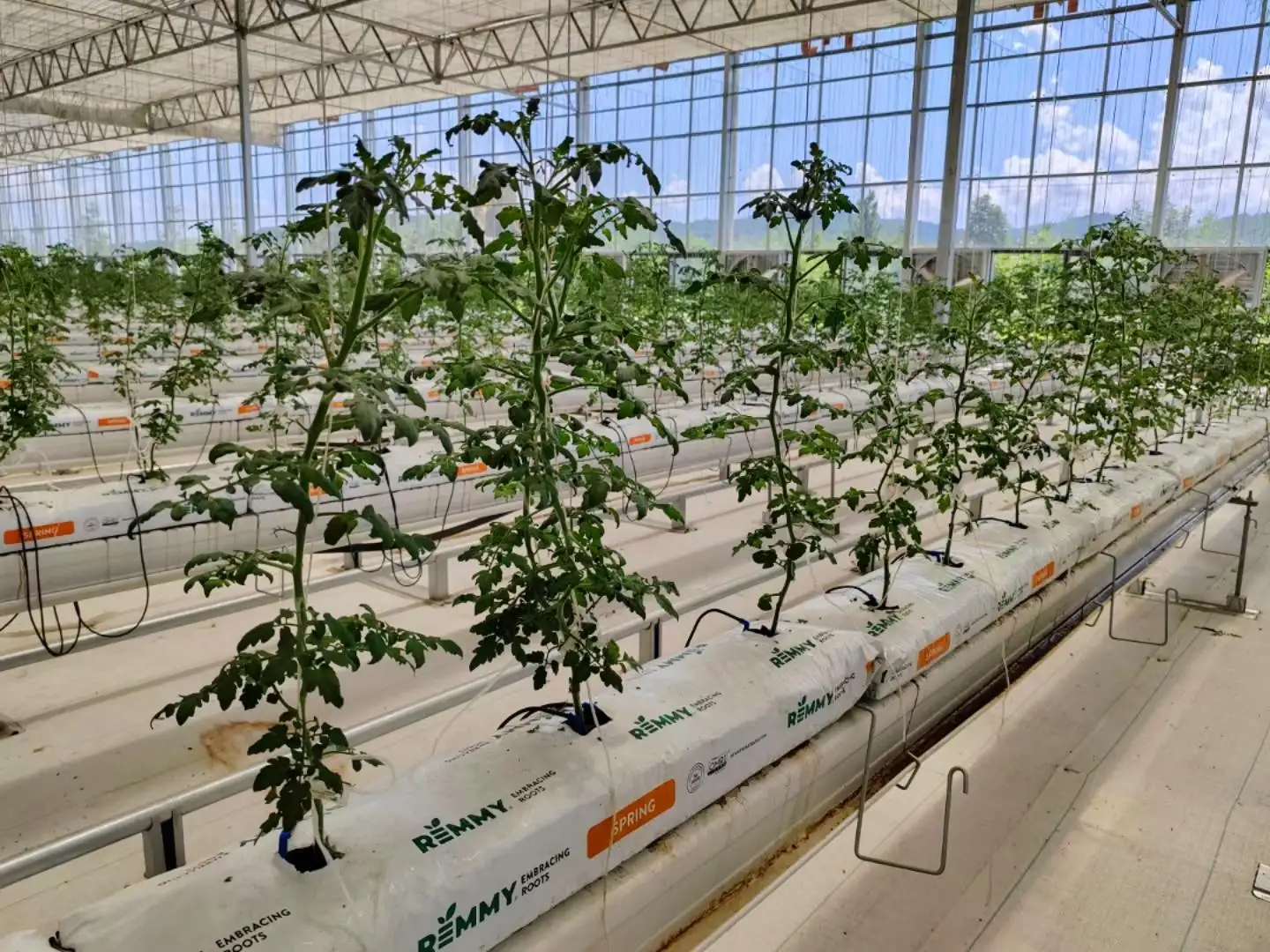 Greenhouse Hydroponic System L/C - - Jianda Greenhouse 6