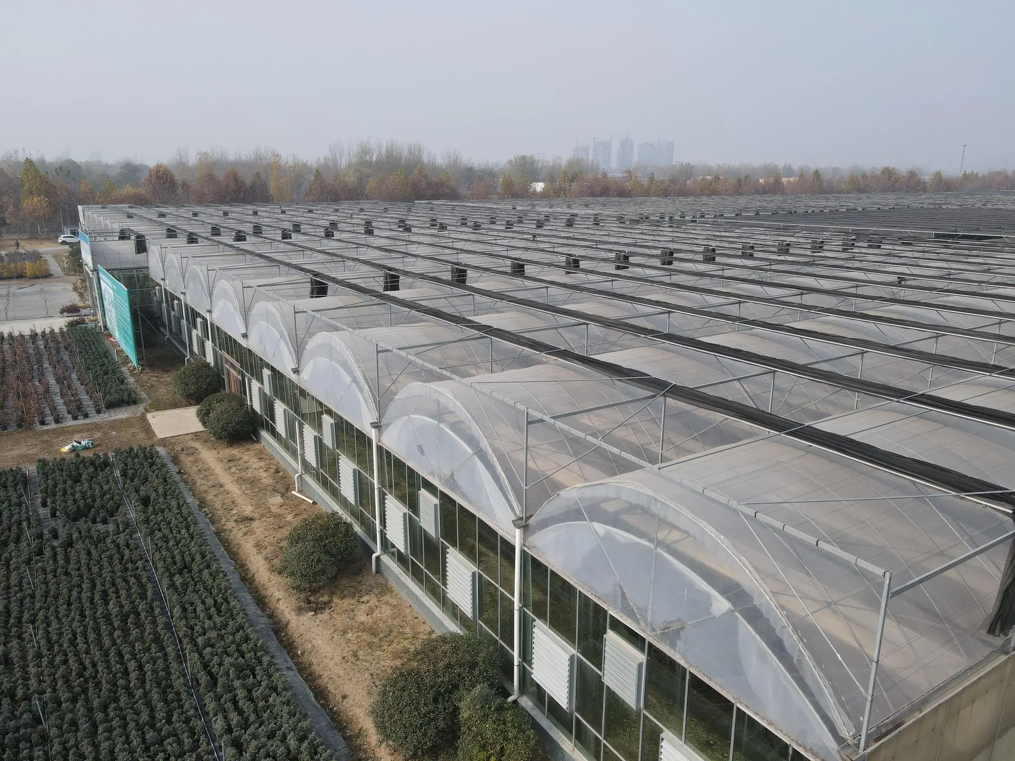 Greenhouses for Sale 1500 Square Meter - - Jianda Greenhouse 6