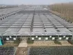 Greenhouses for Sale 1500 Square Meter - - Jianda Greenhouse 5