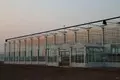 Custom Greenhouses T/T - - Jianda Greenhouse 4