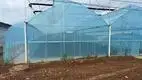 Greenhouse for Tropical Plants JIANDA by Jianda Greenhouse 3
