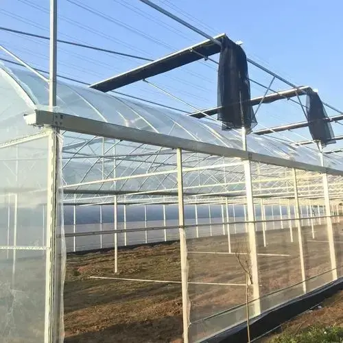 Greenhouse for Tropical Plants JIANDA by Jianda Greenhouse 4