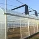 Greenhouse for Tropical Plants JIANDA by Jianda Greenhouse 4