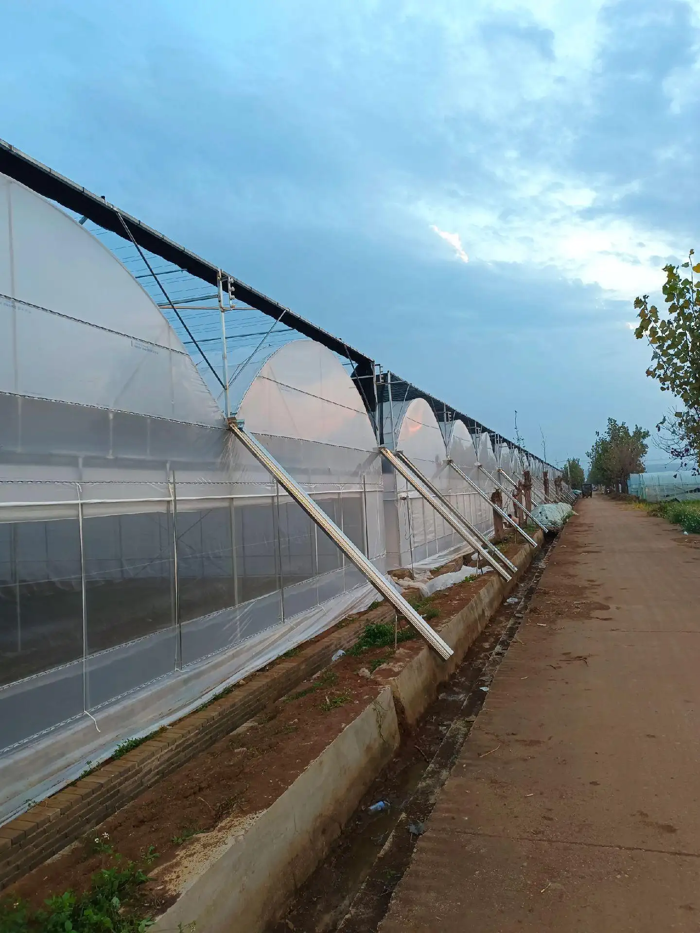 Greenhouse for Tropical Plants JIANDA by Jianda Greenhouse 5