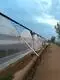 Greenhouse for Tropical Plants JIANDA by Jianda Greenhouse 5
