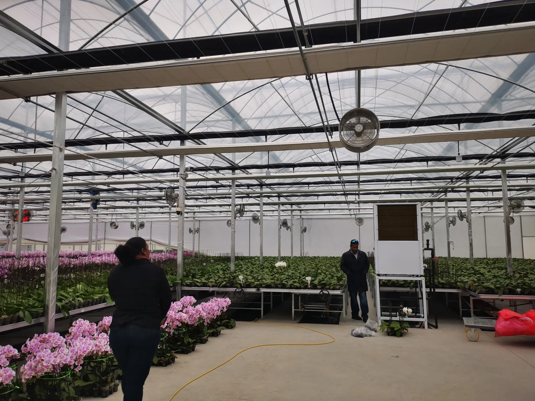 Custom Greenhouses T/T - - Jianda Greenhouse 8