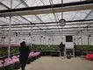Custom Greenhouses T/T - - Jianda Greenhouse 8