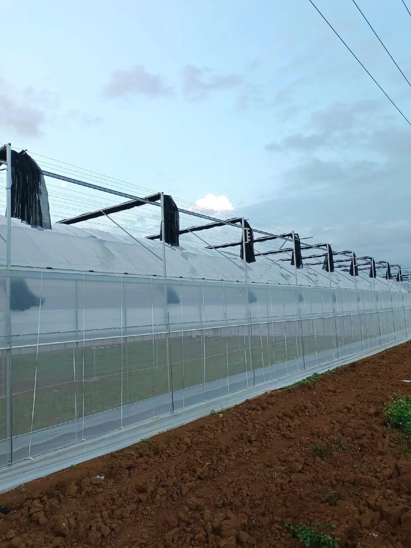 Greenhouse for Tropical Plants JIANDA by Jianda Greenhouse 6