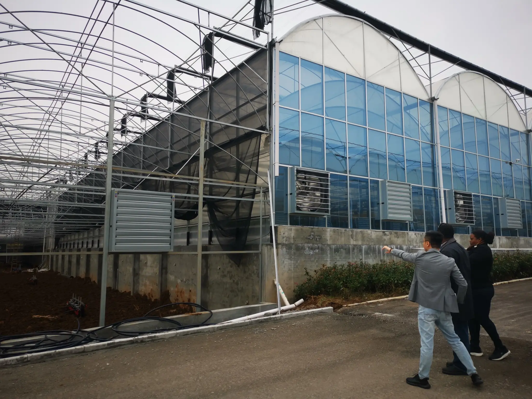 Custom Greenhouses T/T - - Jianda Greenhouse 6