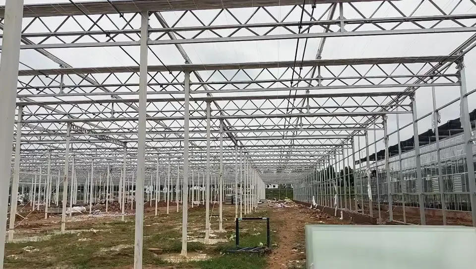 Best Tomato Greenhouse Negotiate by Jianda Greenhouse 1