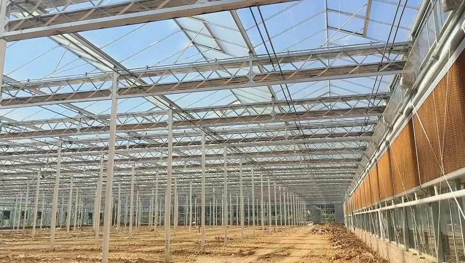 دفيئة جياندا الزراعية فينلو للبيع مع نظام زراعة الخضروات والطماطم بدون تربة 1
