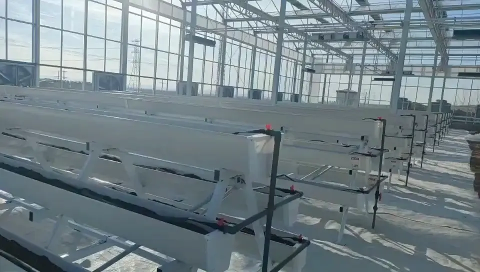 Venlo Greenhouse Structure JIANDA - - Jianda Greenhouse 1