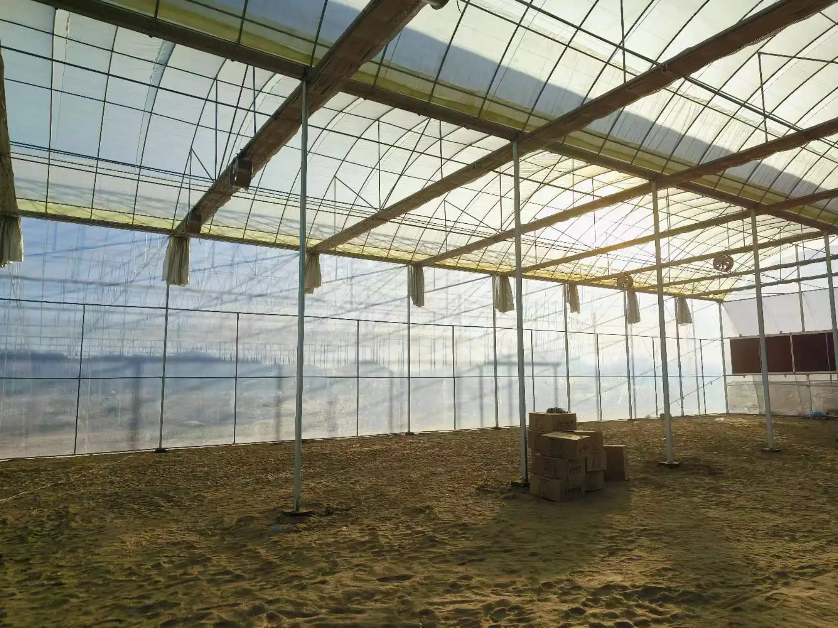 Greenhouse for Tropical Plants Negotiate by Jianda Greenhouse 3