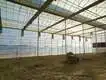 Greenhouse for Tropical Plants Negotiate by Jianda Greenhouse 3
