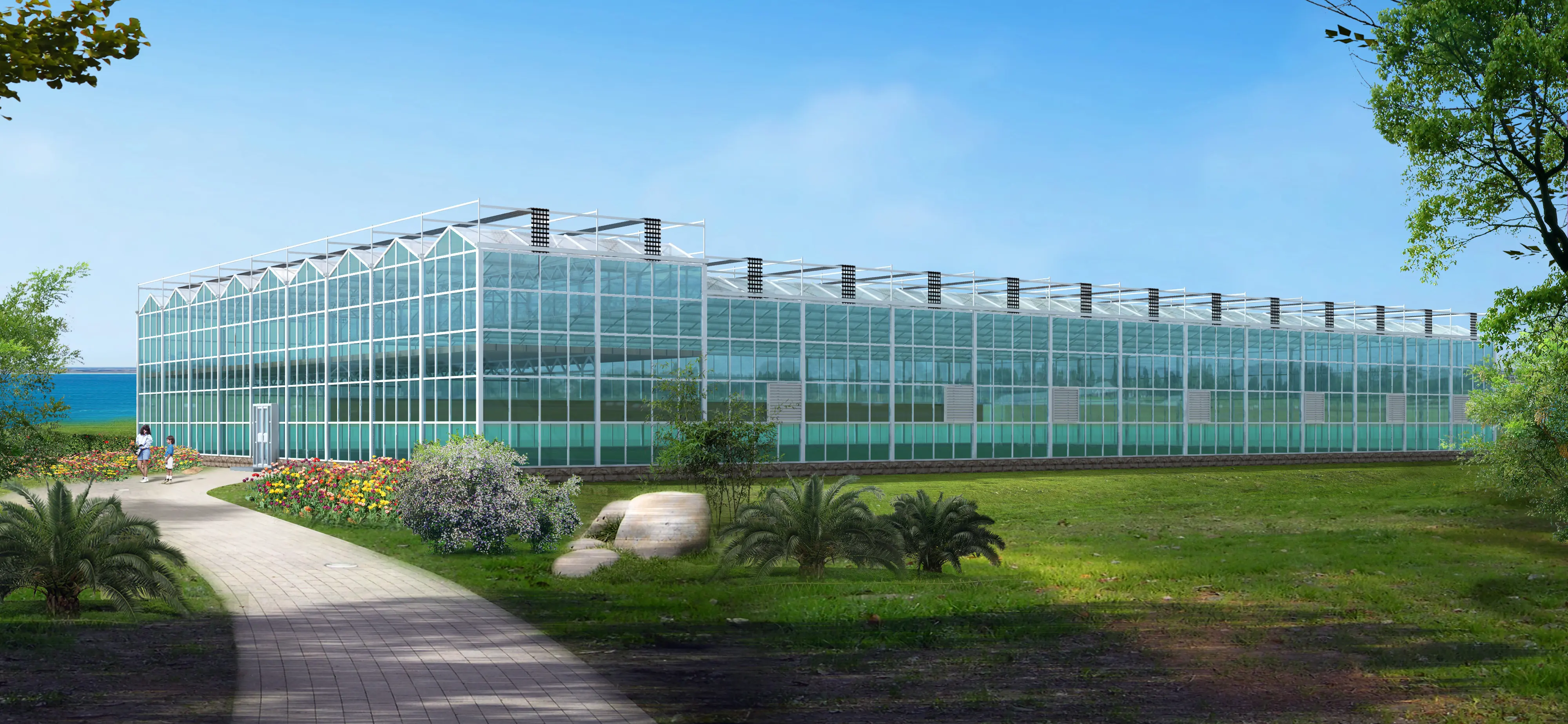 Greenhouses for Sale Available by Jianda Greenhouse 2