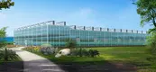 Greenhouses for Sale Available by Jianda Greenhouse 2