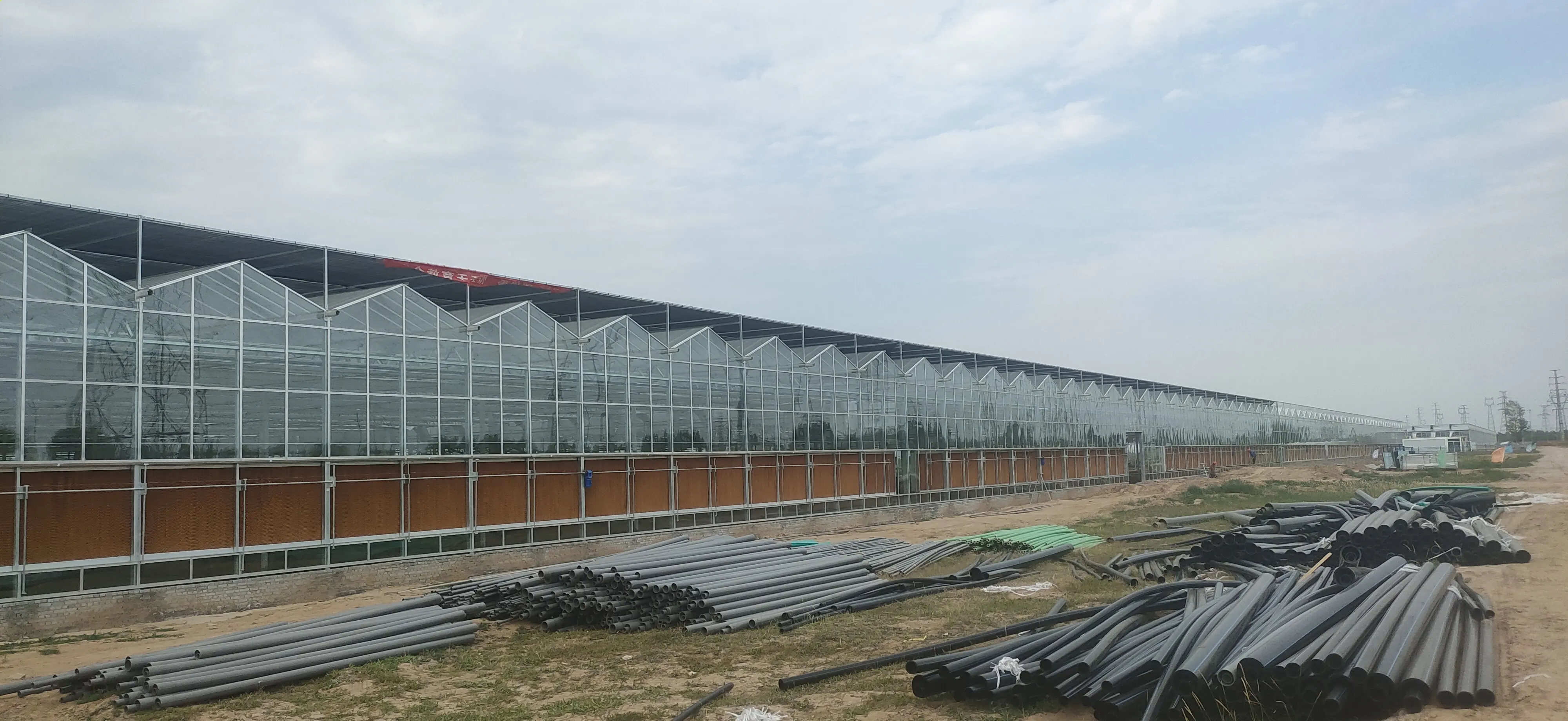 Tomato Greenhouse for Sale QINGDAO by Jianda Greenhouse 7