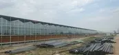 Tomato Greenhouse for Sale QINGDAO by Jianda Greenhouse 7