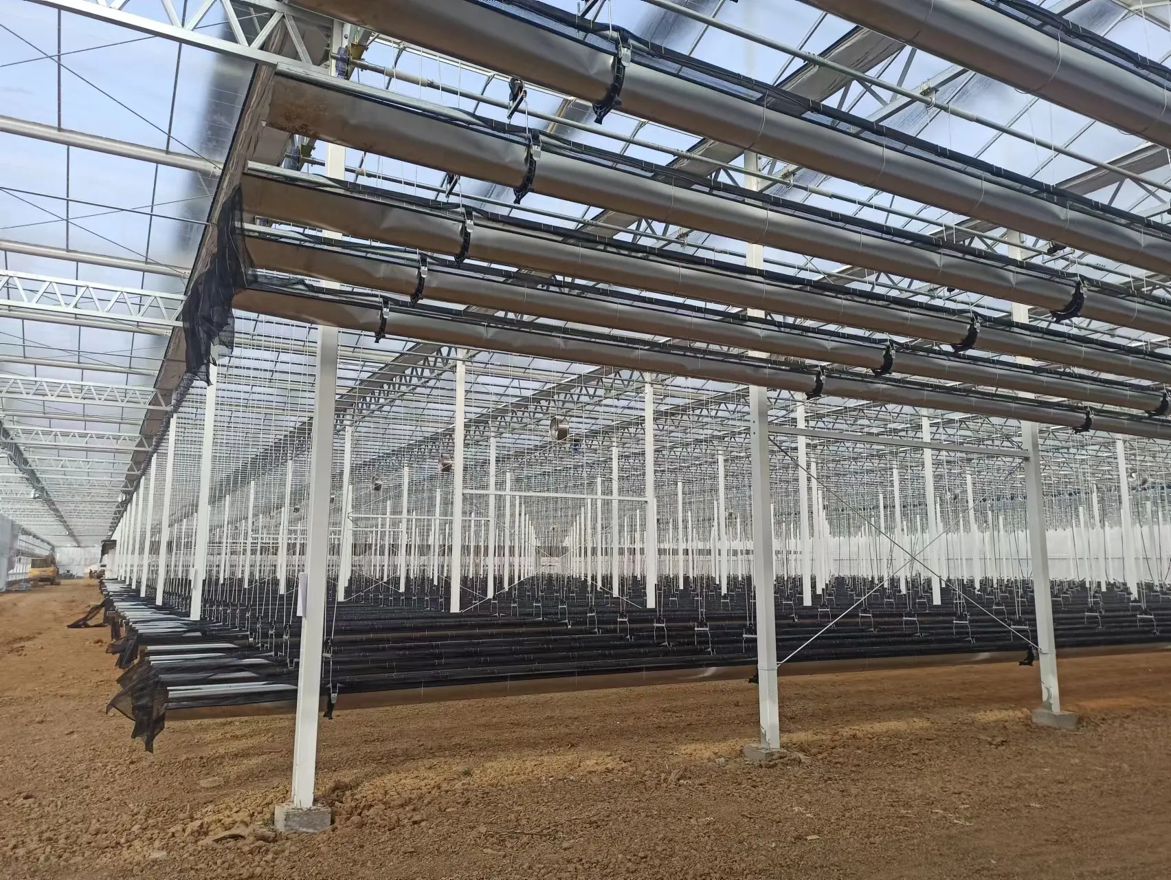 Tomato Greenhouse for Sale QINGDAO by Jianda Greenhouse 5
