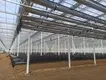 Tomato Greenhouse for Sale QINGDAO by Jianda Greenhouse 5