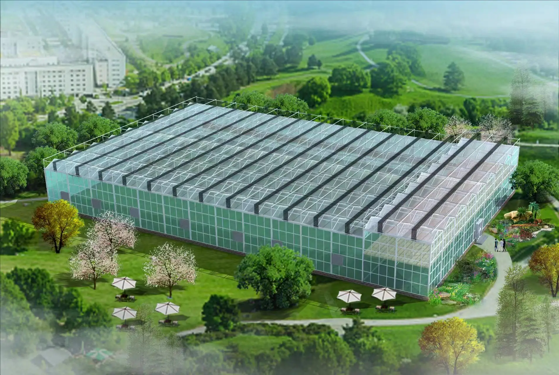 Venlo Greenhouse T/T - - Jianda Greenhouse 4