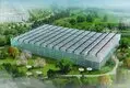 Venlo Greenhouse T/T - - Jianda Greenhouse 4