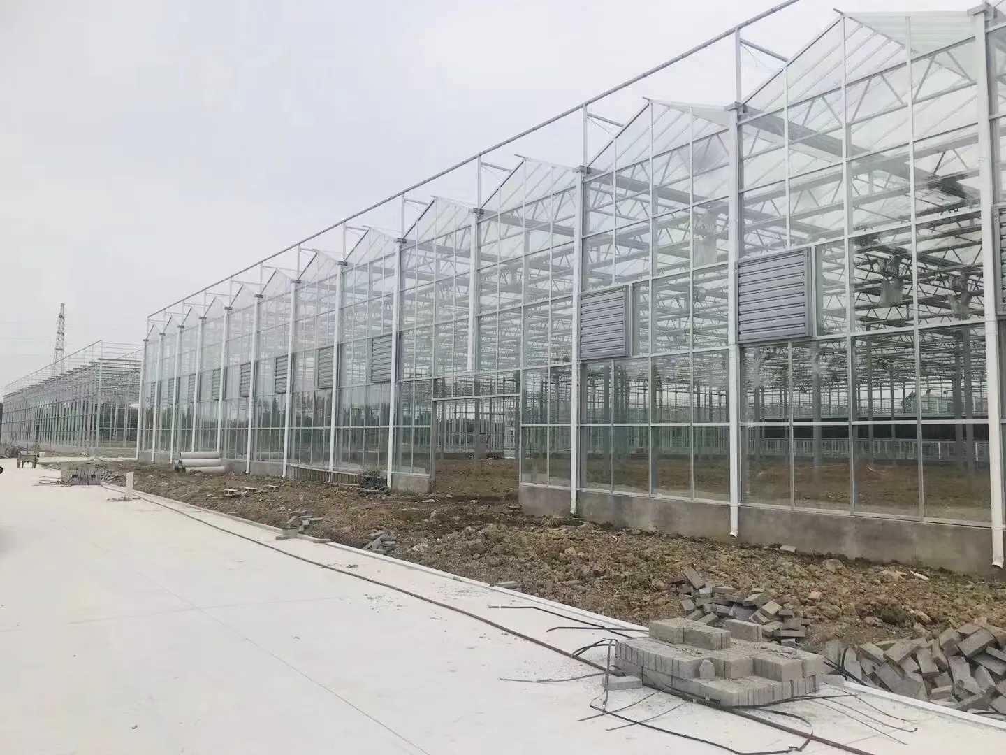 Venlo Greenhouse T/T - - Jianda Greenhouse 3