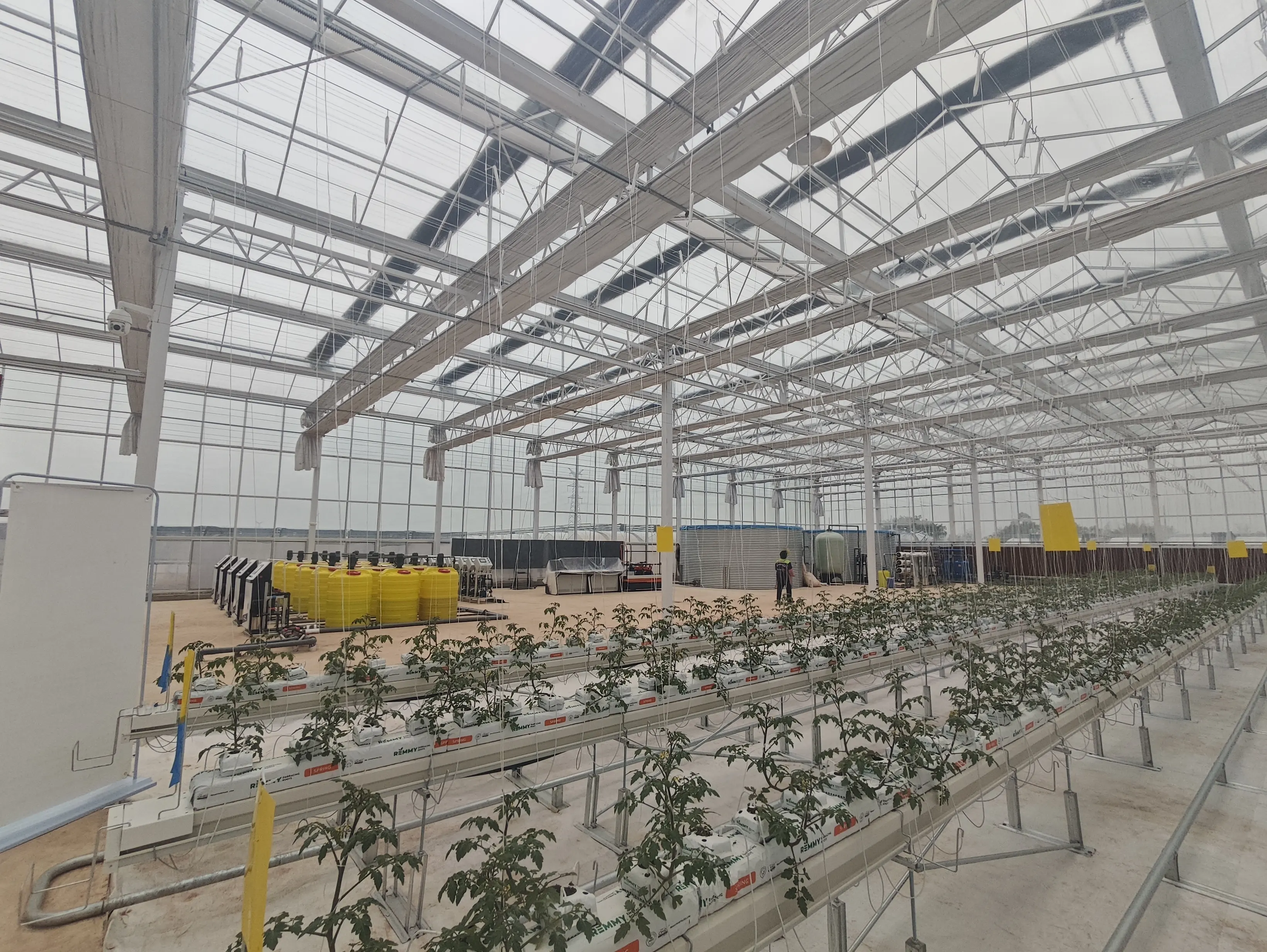 Best Tomato Greenhouse Negotiate by Jianda Greenhouse 7