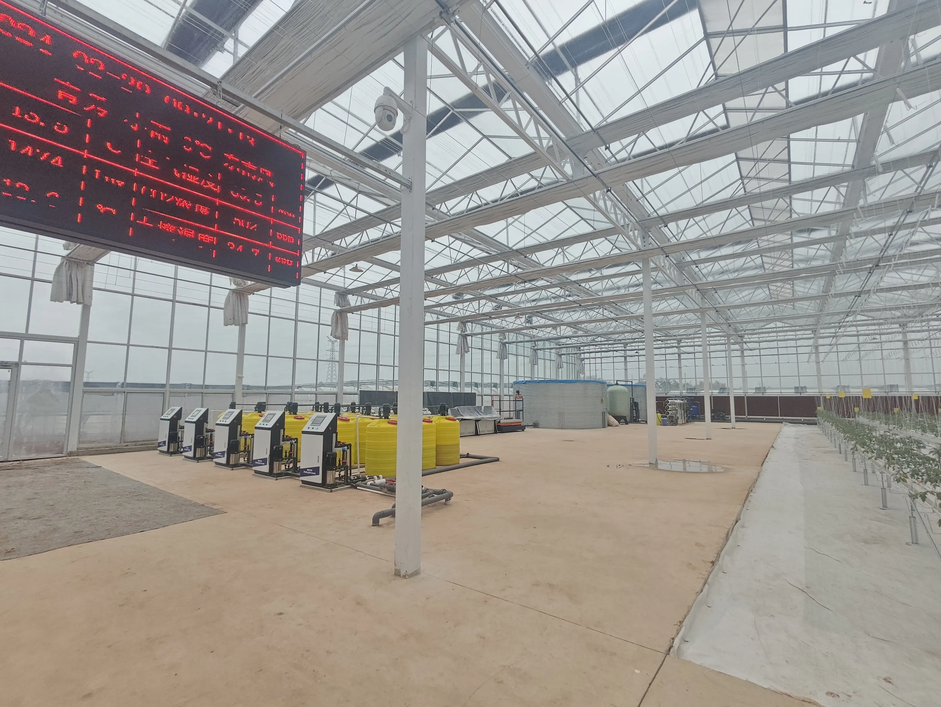 Best Tomato Greenhouse Negotiate by Jianda Greenhouse 5