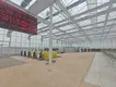 Best Tomato Greenhouse Negotiate by Jianda Greenhouse 5