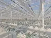 Best Tomato Greenhouse Negotiate by Jianda Greenhouse 6