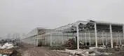 Tomato Greenhouse for Sale QINGDAO by Jianda Greenhouse 3