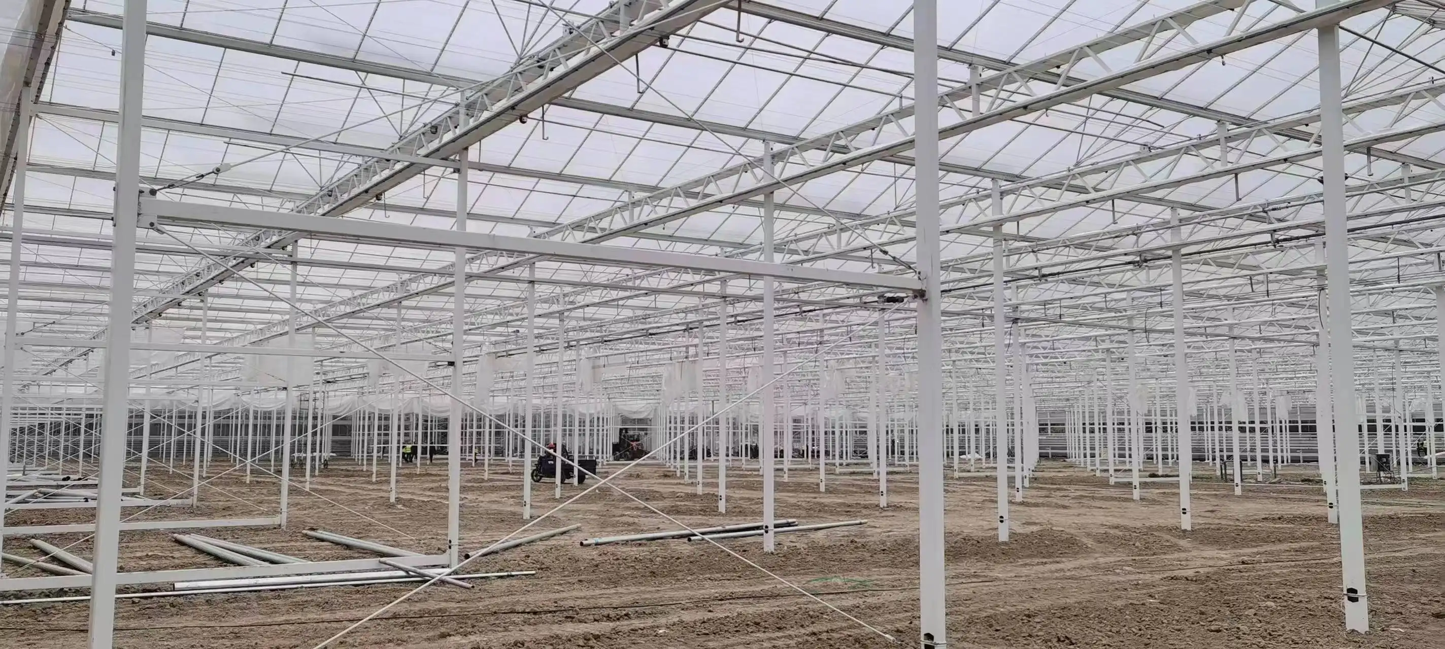Best Tomato Greenhouse Negotiate by Jianda Greenhouse 3