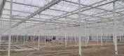 Best Tomato Greenhouse Negotiate by Jianda Greenhouse 3