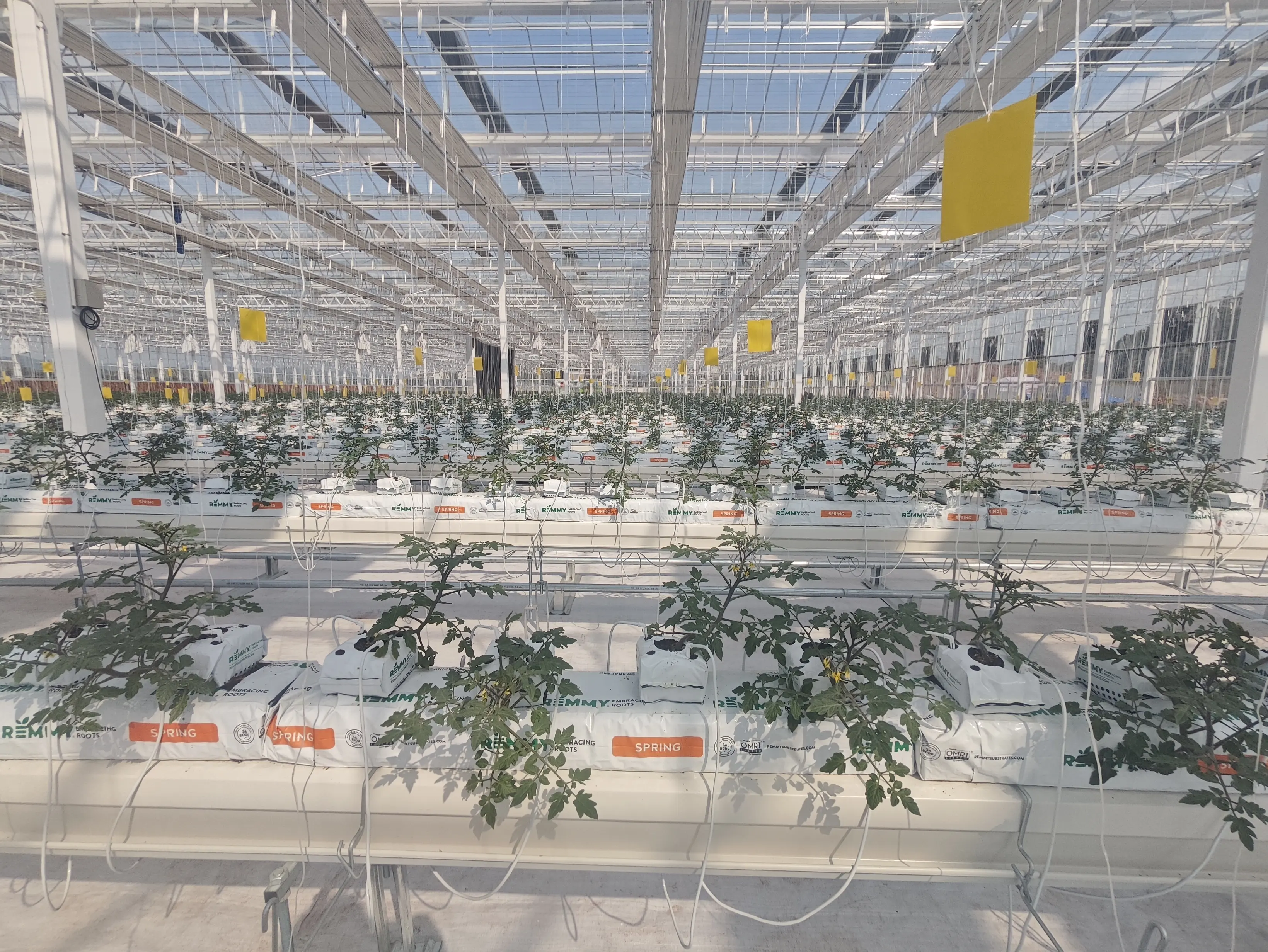 Venlo Greenhouse Structure JIANDA - - Jianda Greenhouse 6