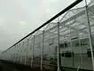 Best Tomato Greenhouse Negotiate by Jianda Greenhouse 4