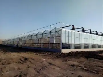 Venlo Greenhouse Structure JIANDA - - Jianda Greenhouse 5