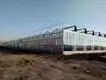 Venlo Greenhouse Structure JIANDA - - Jianda Greenhouse 5