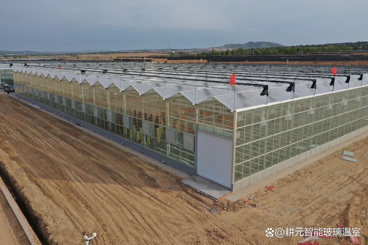 Venlo Greenhouse Structure JIANDA - - Jianda Greenhouse 4