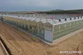 Venlo Greenhouse Structure JIANDA - - Jianda Greenhouse 4