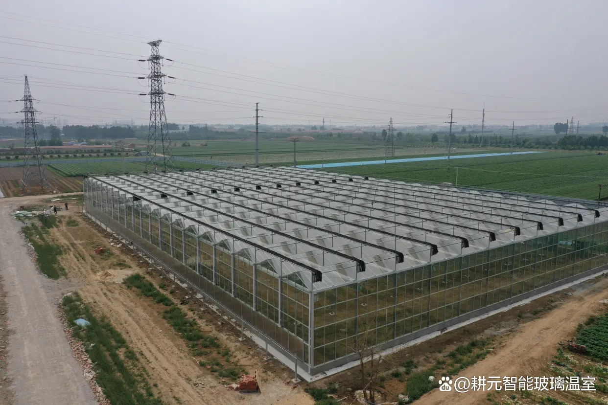 Venlo Greenhouse Structure JIANDA - - Jianda Greenhouse 3