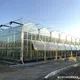 Venlo Greenhouse Structure JIANDA - - Jianda Greenhouse 2
