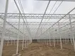Greenhouses for Sale Available by Jianda Greenhouse 8