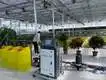 Venlo Greenhouse T/T - - Jianda Greenhouse 2
