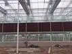 Greenhouses for Sale Available by Jianda Greenhouse 7