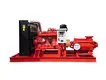 Vertical Fire Pump by Bangpu 3