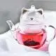 Professional Glass Infuser Pitcher for Home Use 2