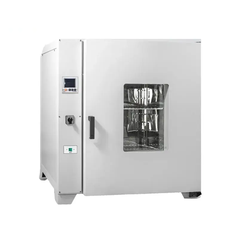 Case Study: Lab Oven Use in Pharmaceutical Research 1