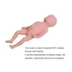 Medical Educational Models First-rate Servicewholesaler 5