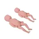 Medical Educational Models First-rate Servicewholesaler 2